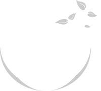 Ecohome Mediniai Nameliai Sodo Namukai Logo White